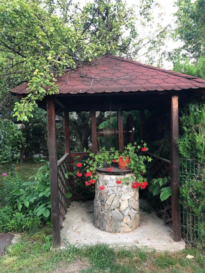 Argeselu Garden Villa - Entire Floor Apartment, Exclusive Garden Access Maracineni 外观 照片