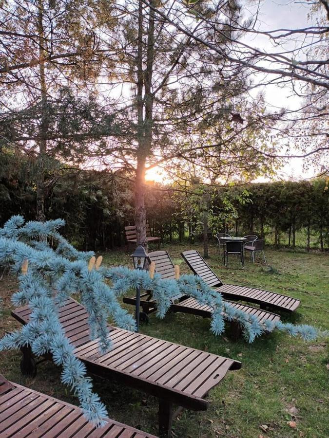 Argeselu Garden Villa - Entire Floor Apartment, Exclusive Garden Access Maracineni 外观 照片