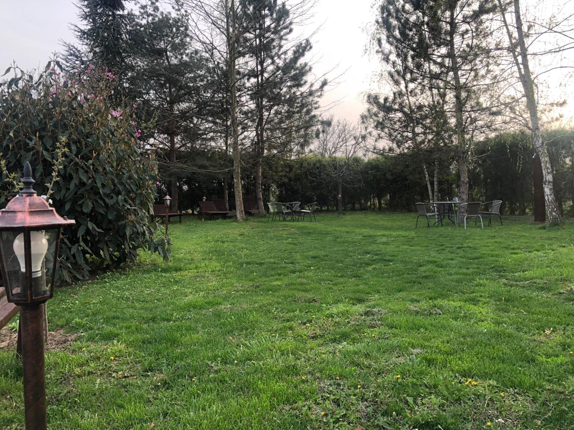 Argeselu Garden Villa - Entire Floor Apartment, Exclusive Garden Access Maracineni 外观 照片