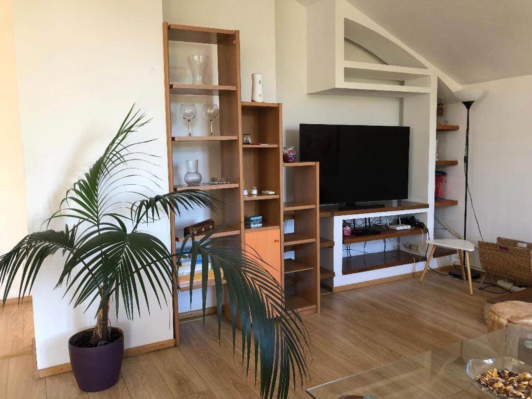 Argeselu Garden Villa - Entire Floor Apartment, Exclusive Garden Access Maracineni 外观 照片